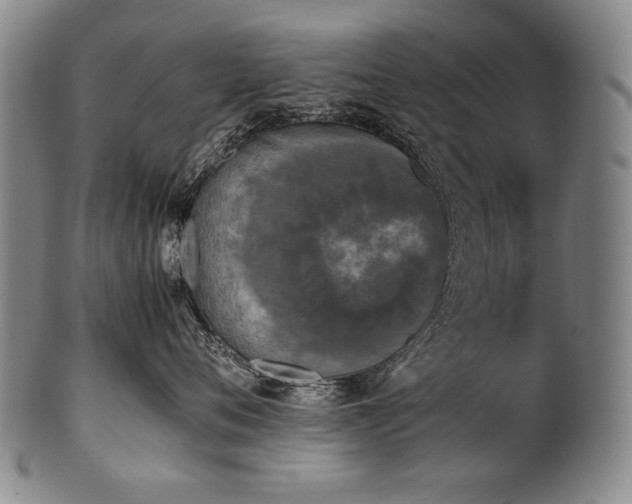 X0000102470720200808081250