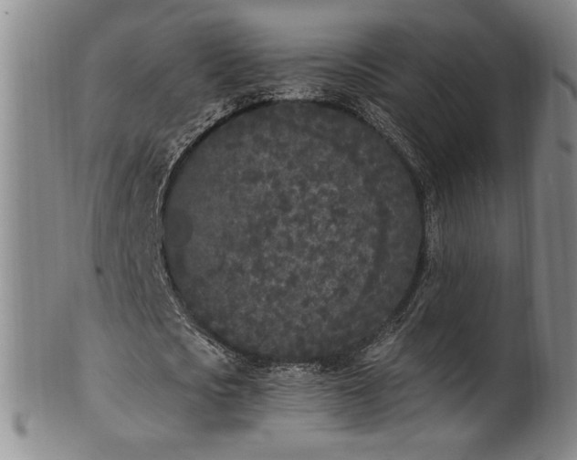X0000102470721200808081249