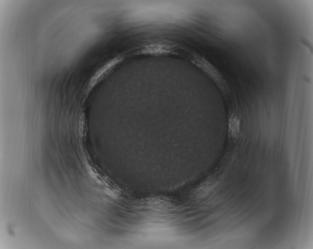 X0000102470724200808081250
