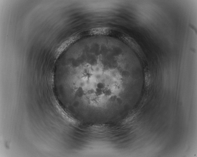 X0000102470725200808081250