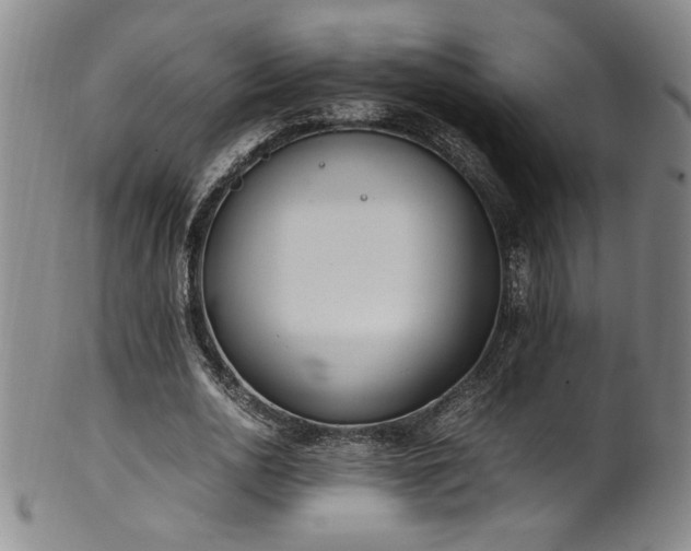 X0000102470726200808081250
