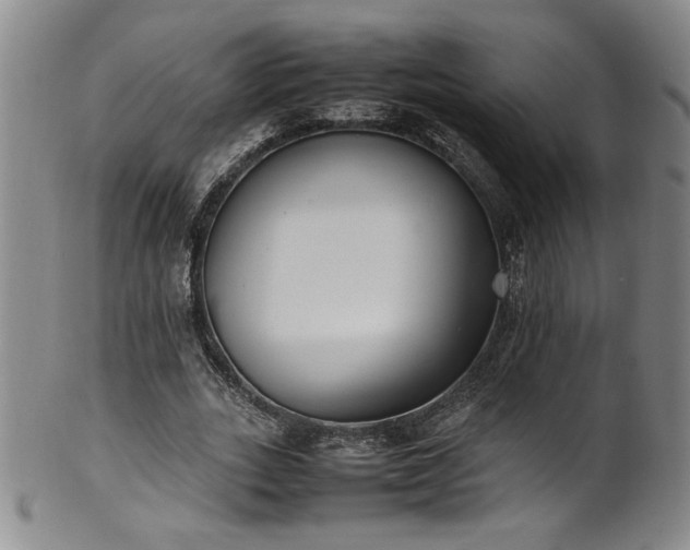 X0000102470727200808081250