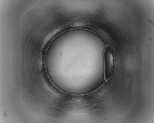 X0000102470728200808081250