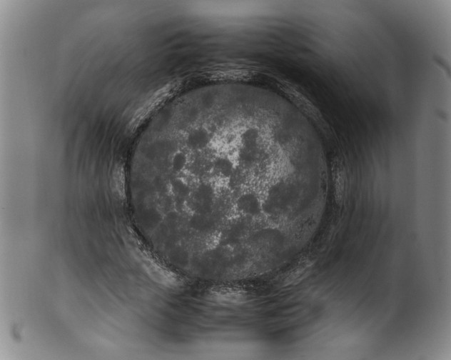 X0000102470729200808081250