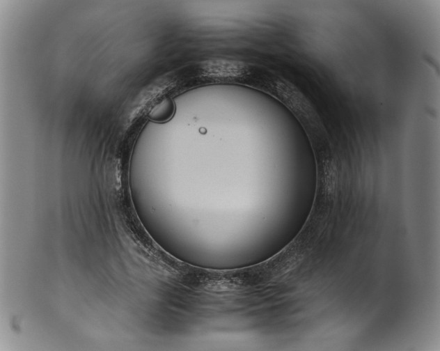 X0000102470731200808081250