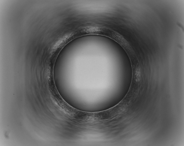 X0000102470732200808081250