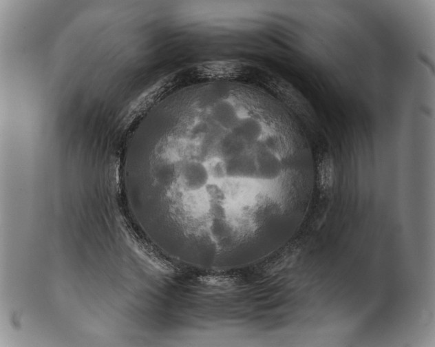 X0000102470733200808081250