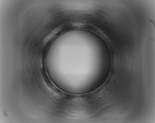 X0000102470734200808081250