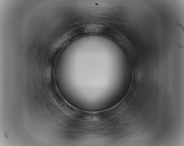 X0000102470735200808081250