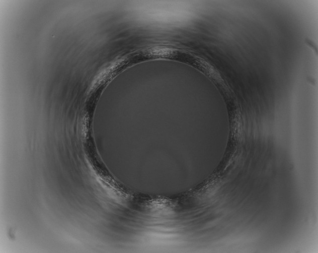 X0000102470736200808081250