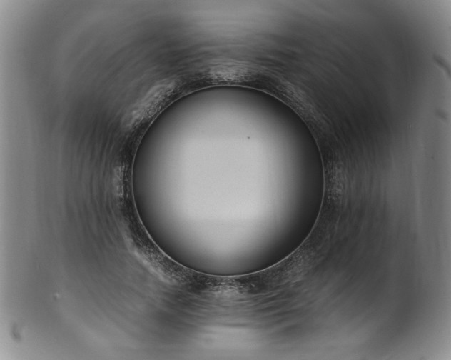 X0000102470738200808081250