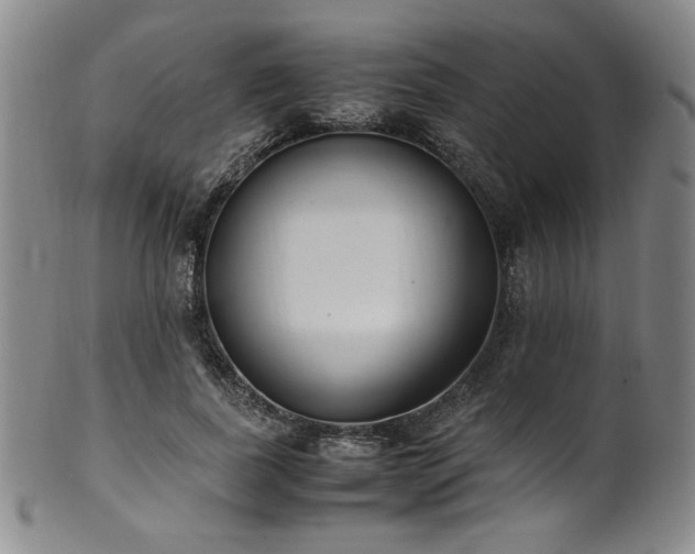 X0000102470739200808081250