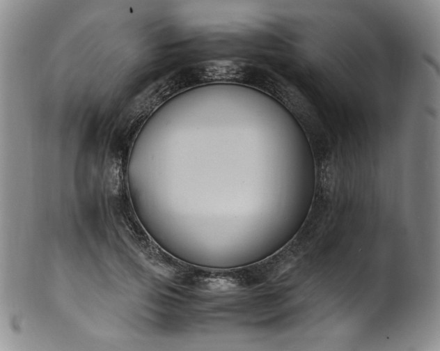 X0000102470741200808081250