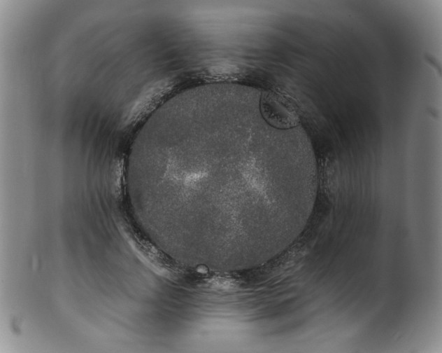 X0000102470742200808081250