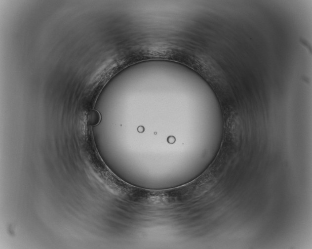 X0000102470744200808081250