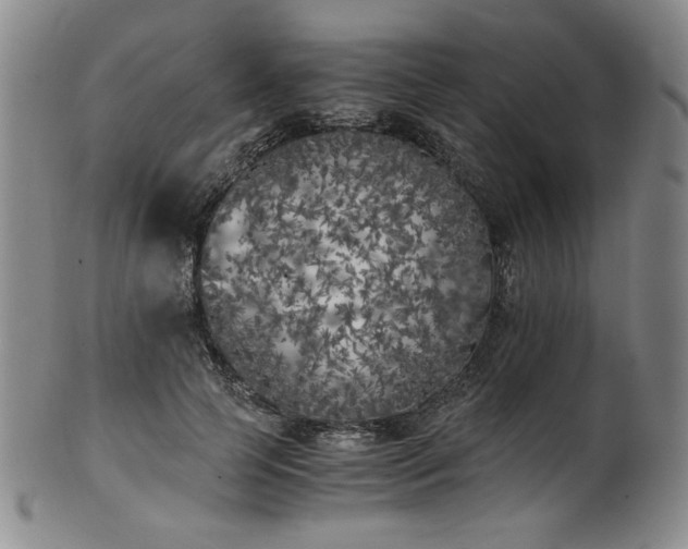 X0000102470745200808081250