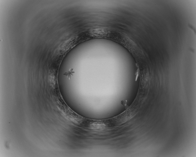 X0000102470749200808081250