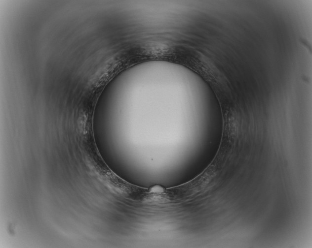 X0000102470750200808081250