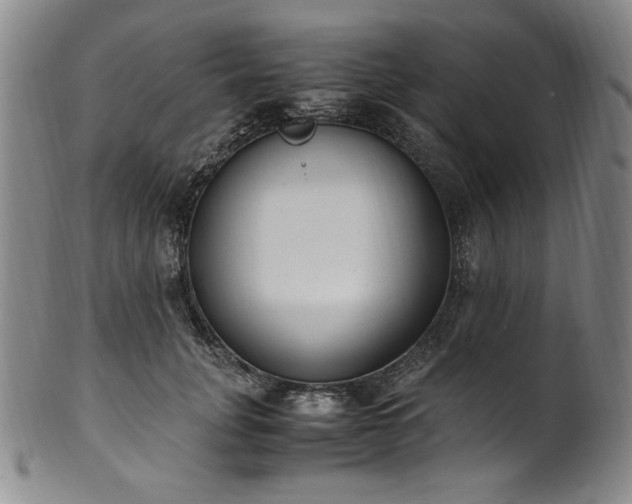 X0000102470751200808081250