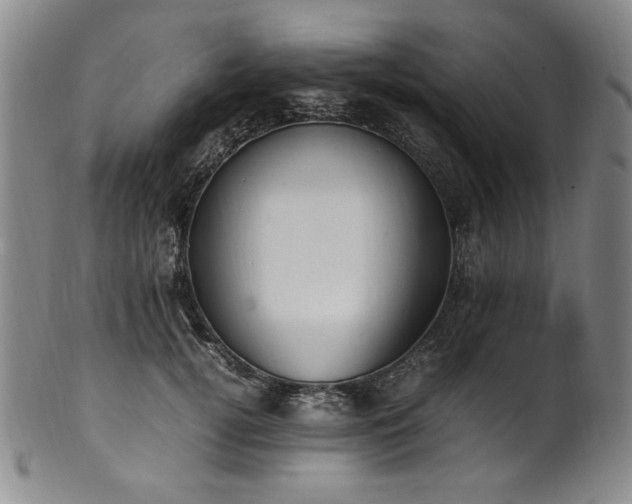 X0000102470752200808081250