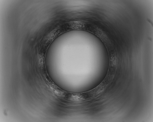 X0000102470753200808081250
