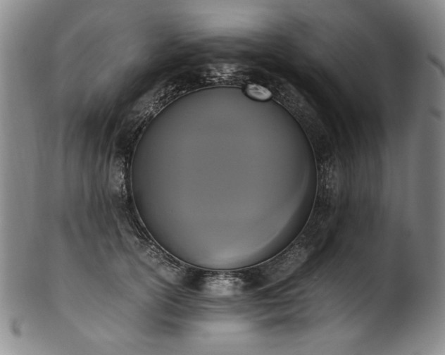 X0000102470754200808081250