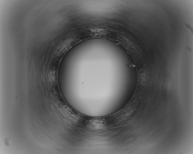 X0000102470756200808081250