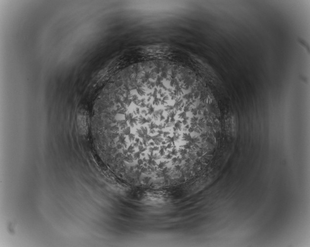 X0000102470757200808081250