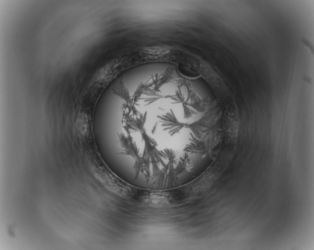 X0000102470758200808081250
