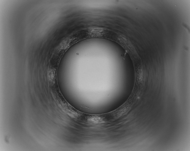 X0000102470759200808081250