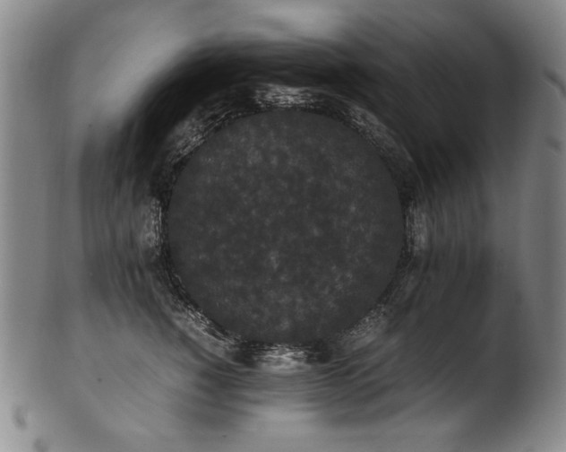 X0000102470760200808081250