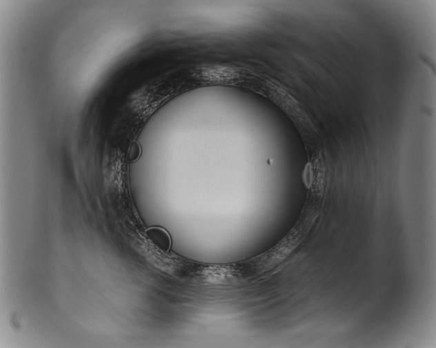 X0000102470762200808081250