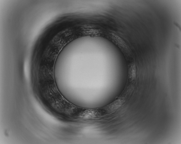 X0000102470764200808081250