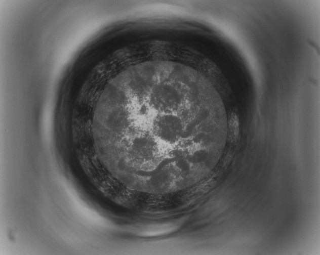 X0000102470765200808081250