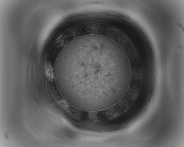 X0000102470766200808081250