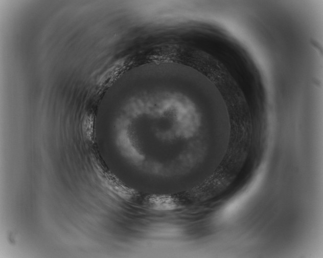 X0000102470767200808081250