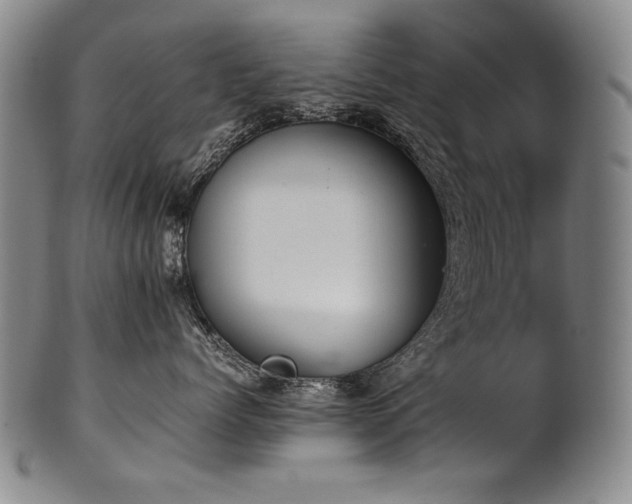 X0000102470768200808081250