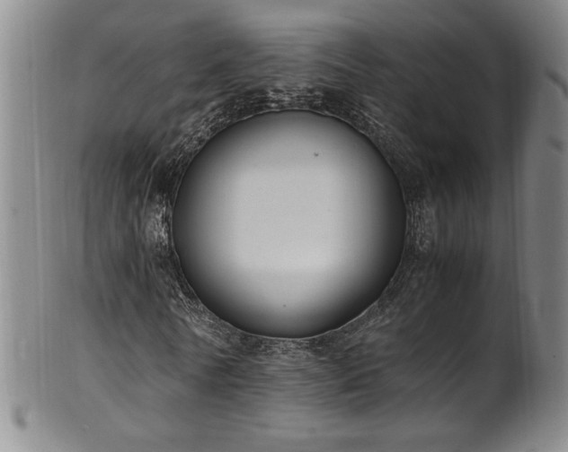 X0000102470770200808081249