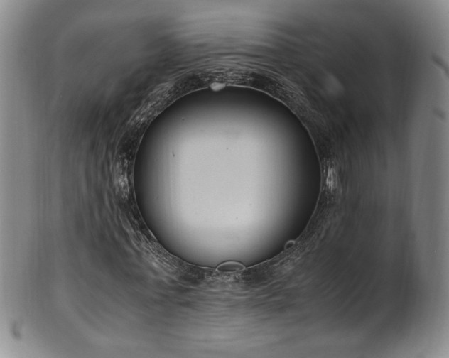 X0000102470771200808081249