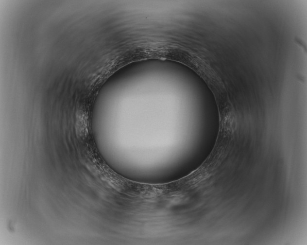 X0000102470772200808081249