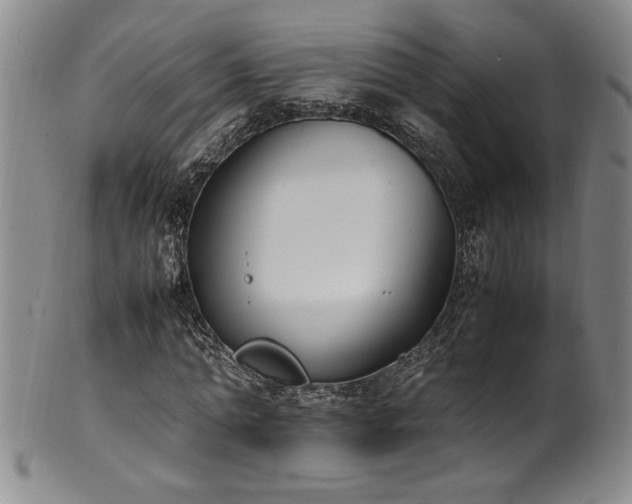 X0000102470774200808081249