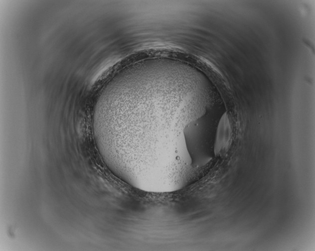X0000102470775200808081249