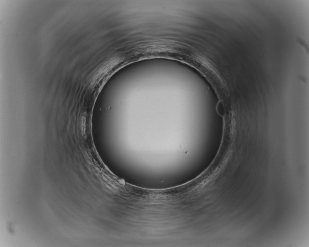 X0000102470777200808081249