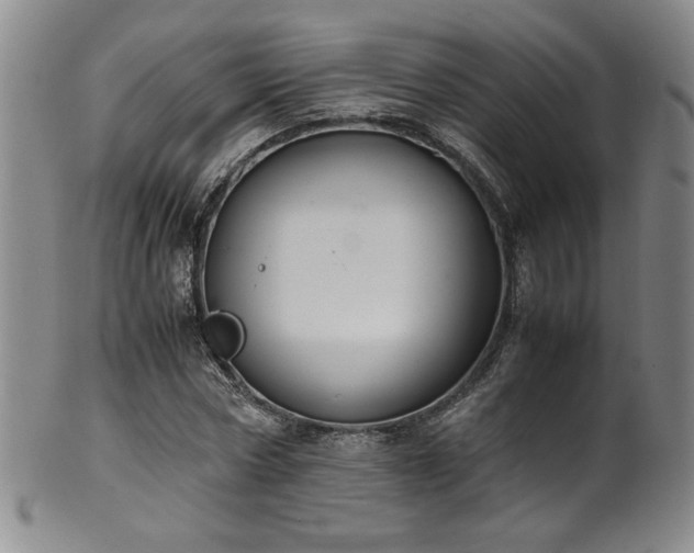 X0000102470778200808081249
