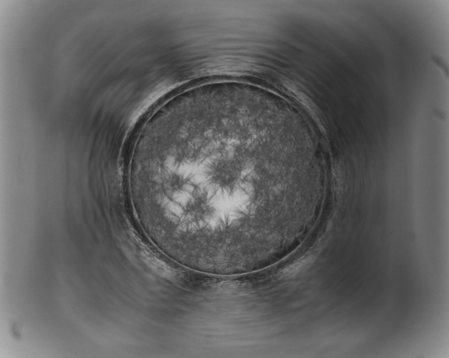 X0000102470779200808081249