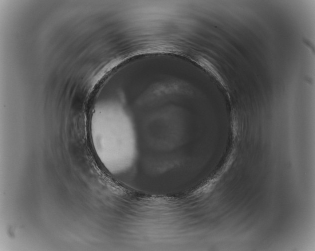 X0000102470781200808081249