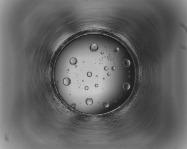 X0000102470783200808081249