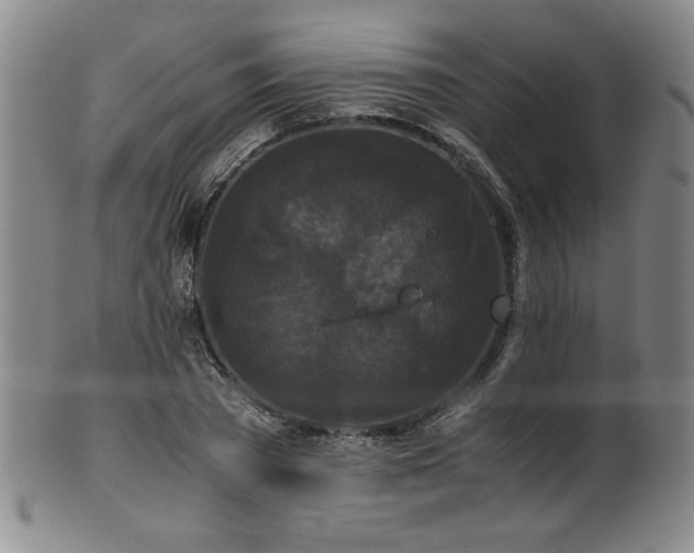 X0000102470785200808081249