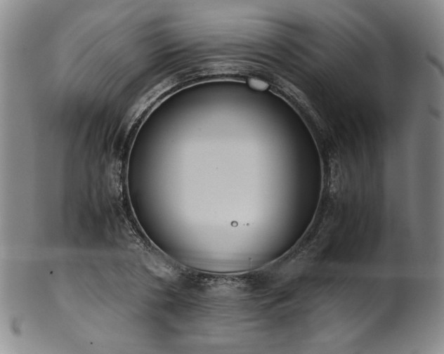 X0000102470786200808081249