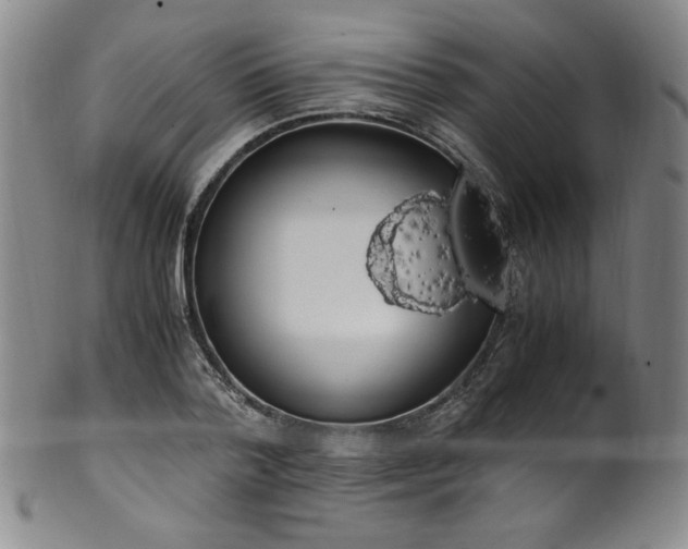 X0000102470788200808081249